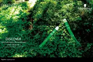 🌈オーガニックカラー+炭酸スパ（カット無し）