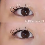 LED フラットラッシュ 120本🪄︎︎🩶