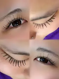 【オフあり】 フラットラッシュ100本✨