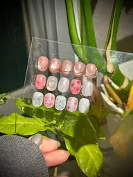 【定額】new design (色、配置変更🉑)