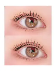 🎀ご新規様限定🎀まつ毛パーマ(ラッシュリフト)高濃度トリートメント&コーティング仕上げ✨