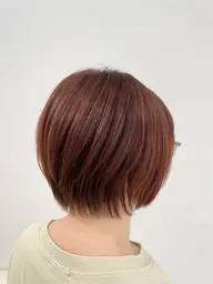 【ショートヘア専用】縮毛矯正+カット+TR【クチコミ割】