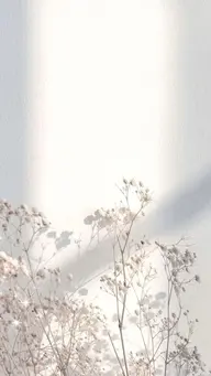 ワンカラー(オフ込)