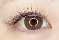 フラットラッシュ80本