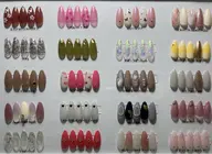 シンプルコース