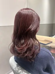 【🌟ご新規の方🌟】カット+ダブルカラー+4stepトリートメント🤍¥15,500