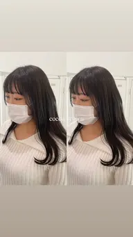 1番人気メニュー✨ 【💞メンテナンスカット×ワンカラー×プチトリートメント💞】