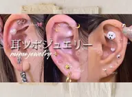 耳つぼジュエリー💎💕両耳20粒