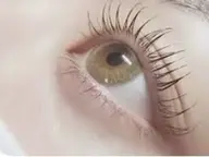 【平日限定】まつ毛パーマ　￥3960