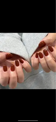 【オフ無料】🤍ワンカラー・グラデ