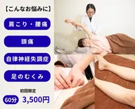 お辛いところに集中ケア(指圧マッサージ+お辛いところの鍼)
