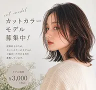 カットカラーモデル