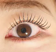 即予約🉑❕【4月限定】🌷束感まつげパーマ🌷（上）束感コーティング仕上げ付き※口コミ、写真、動画撮影必須