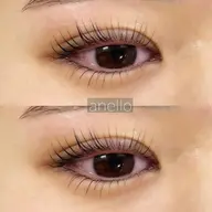 【限定🌷】✨上下ラッシュリフト💫