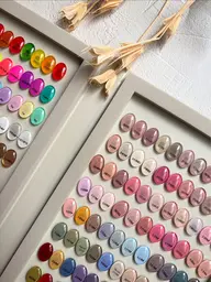 ワンカラー(オフ込)