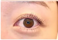 【練習モデル】下まつ毛練習モデル(上まつ毛も施術させて頂きます(アイシャンプー、ケラチントリートメント、コーティング付)