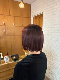 【ブリーチなし暖色カラー】透明感ワンカラー🥣✨🌿＋Aujua treatment🧴