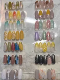 🍇レギュラーコース(オフなし) 🍇