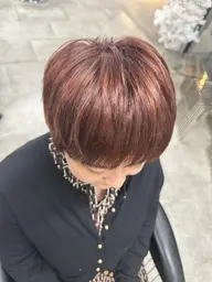 👩🏻‍🦳期間限定👩🏻‍🦳白髪にお悩みの方！白髪対応カラー（白髪染めをやめていきたい方◎白髪染め◎根元だけ◎）