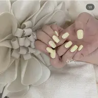 ◾︎(off込み)ワンカラー