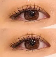 フラートラッシュ100本～120本コーティング付き