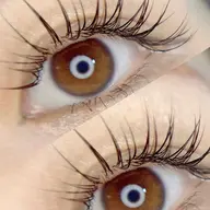 フラットラッシュ100本