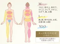 セレクト脱毛Mパーツ(4箇所)orLパーツ(2箇所)orV.I.Oor顔(クレンジング洗顔、パック付)