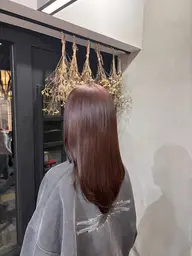 ワンカラー+スパ✨