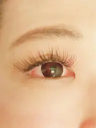 大人気フラットラッシュ120本