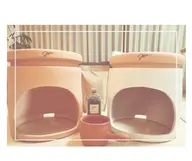 インナーマッスル強化 × デトックス(筋肉運動 × 黄土よもぎ蒸し)