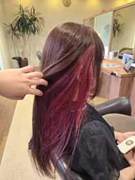 【4回目以上】カラーのみ(相談次第ブリーチ有り)