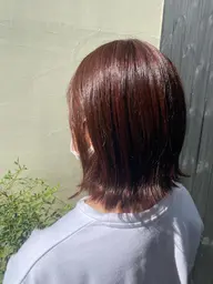 U24限定 カット.カラー