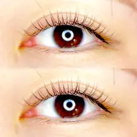 オフ込みブラウンカラー160本