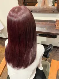 【ブリーチ無し】 ダブルカラー