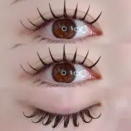 Wフラット120束（240本）🎀オフ込み