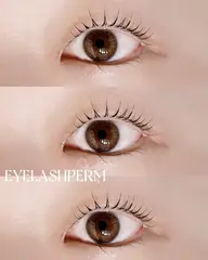 🎀🌙パリジェンヌラッシュリフト🌙🎀