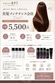 【綺麗を保ちたい方に】美髪メンテナンス会員¥5500／月　（サブスクトリートメント）