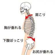 【全身調整&サプリ付き】カイロ全身コース❗️患者様お一人お一人に合った施術や、アフターケアまでを含め全身ケアコース✨