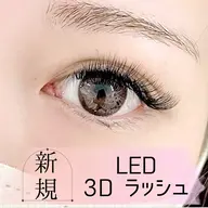 ＼ご新規様限定価格♪／【ふわふわまつ毛】LED 3Dラッシュ100束¥6500