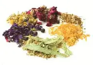 【植物成分配合で頭皮と髪に優しい】オーガニックヘアカラー