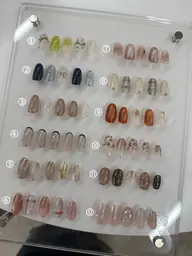 定額メニュー12:00-