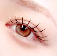 【4、5月限定】最高級フラットラッシュ100本