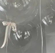 clear 🕊🤍¥4600 {オフ無｝
