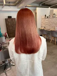 LINK 5step +水素トリートメント