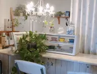 【美白※ケア】　ハーバル　ホワイトニングコース90分　¥3500→¥3300