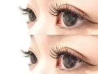 フラットラッシュ100本/ 太さ0.15mm、0.2mm / カール J、C、SC / 長さ8~14mm