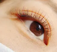 カラーエクステ☆全体 ¥550〜