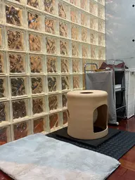 黄土よもぎ蒸し＆スピード小顔