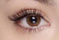 ✴️【LED】バインド(ダブルフラット)50束(100本程の濃さ)