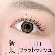 ＼ご新規様限定価格♪／【束感】LEDフラットラッシュ100本　¥6000